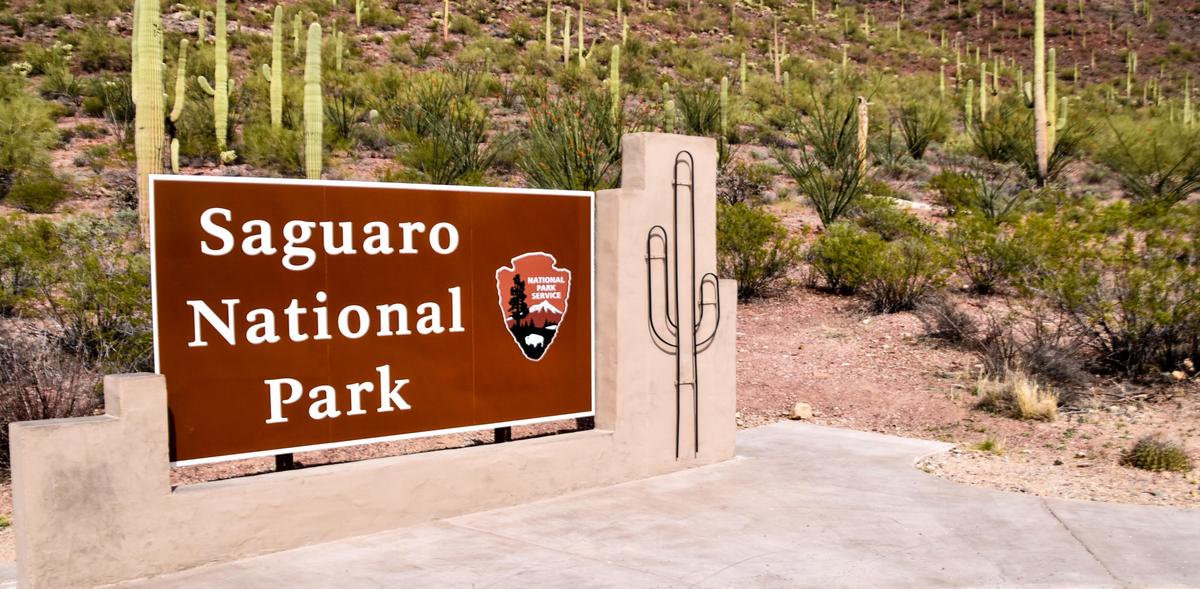 Saguaro National Park